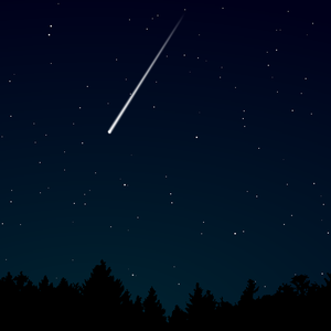 小伙子交尾老熟妇
